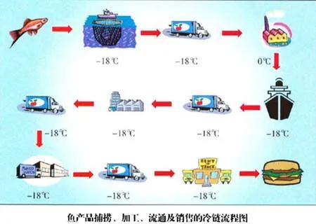 被低估的水產品冷鏈大市場,冷鏈企業不容忽視