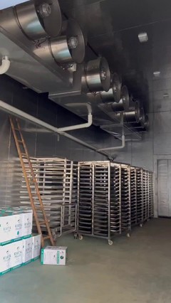 海南儲存保鮮冷庫制冷工程